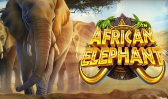 Slot Demo African Elephant